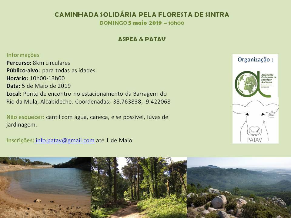 Cartaz PATAV