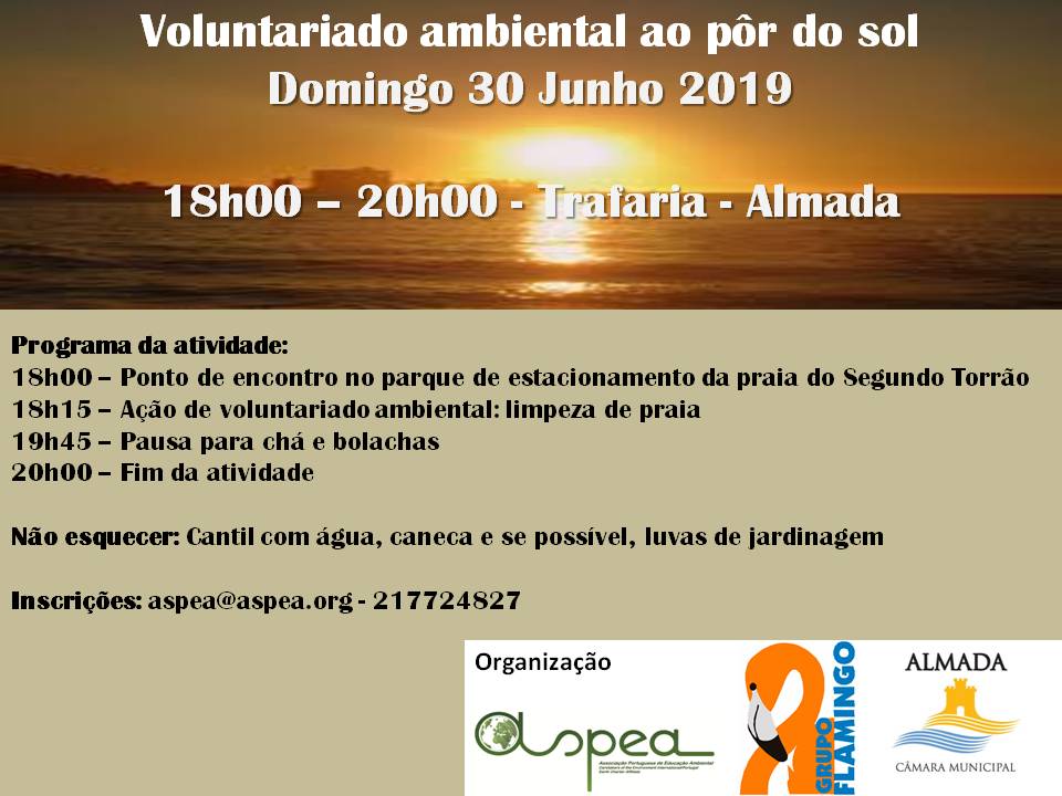 Cartaz Voluntariado Junho ASPEA GrupoFlamingo
