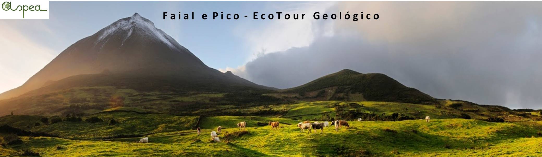 Faial e pico ecotour banner