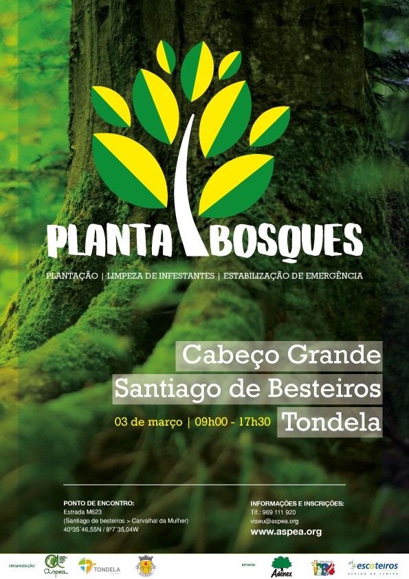PLANTA BOSQUES site