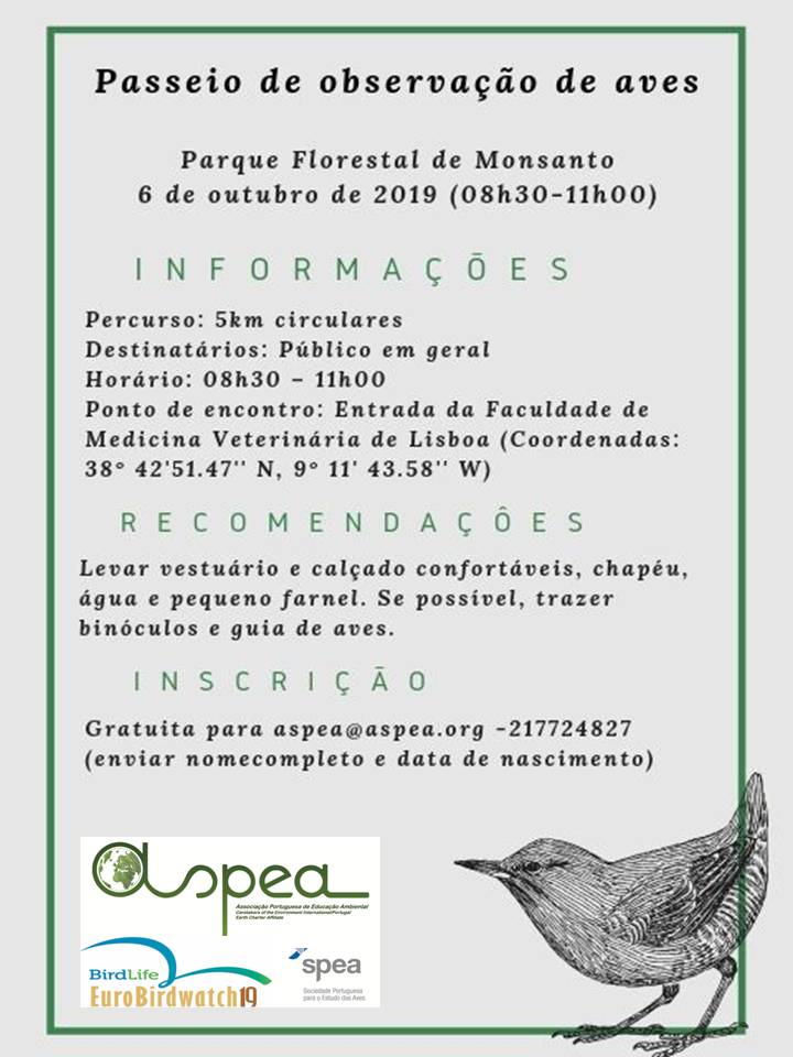 Poster aves061019