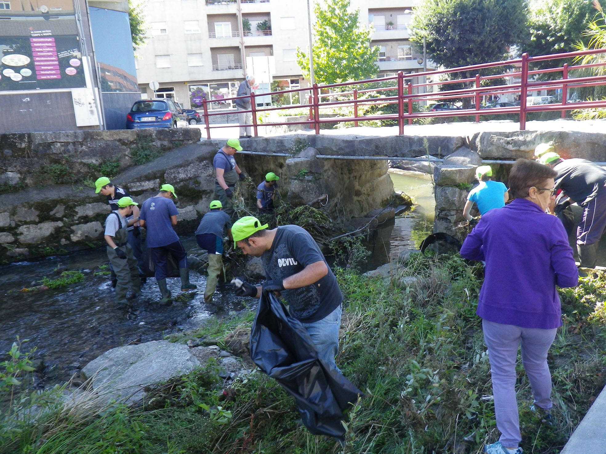 Limpeza do troco Instituto D. Joao Novais e Sousa Desafio da CMB setembro 2015