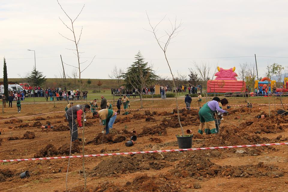 Dia da Arvore Braganca1
