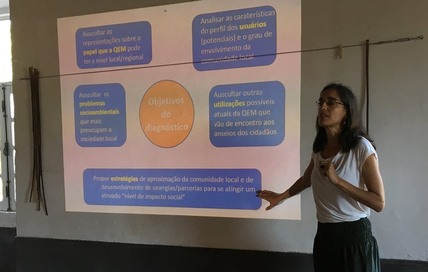 Estudo SaraCarvalho