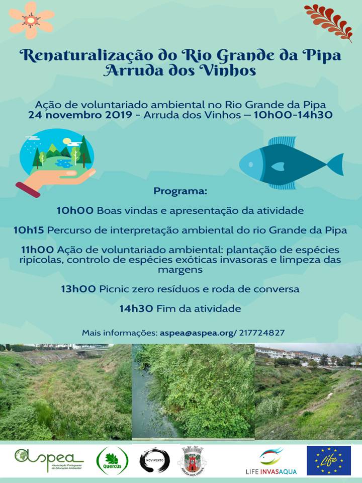 prog_voluntariado_24nov