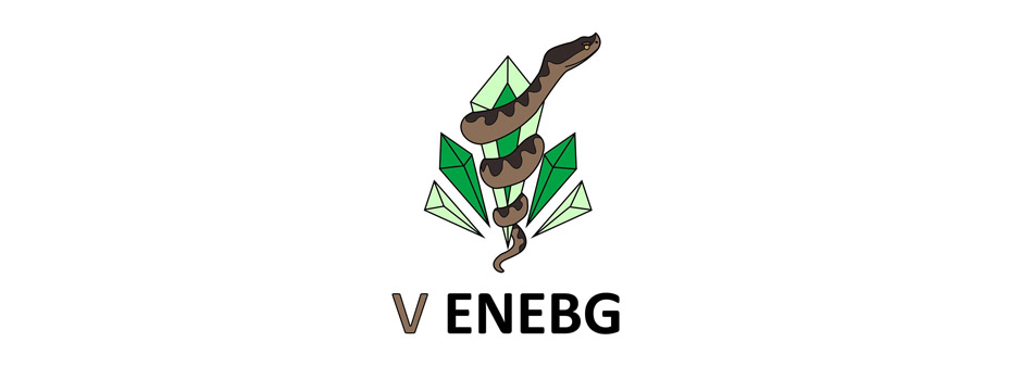 V_ENEBG