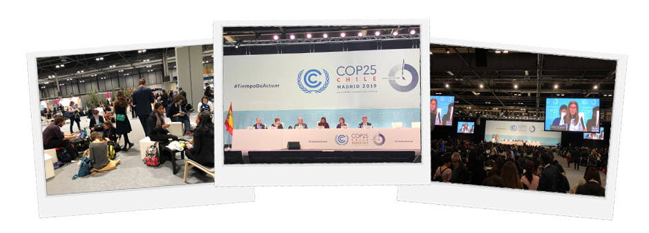 cop25