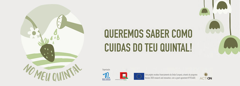 No meu quintal