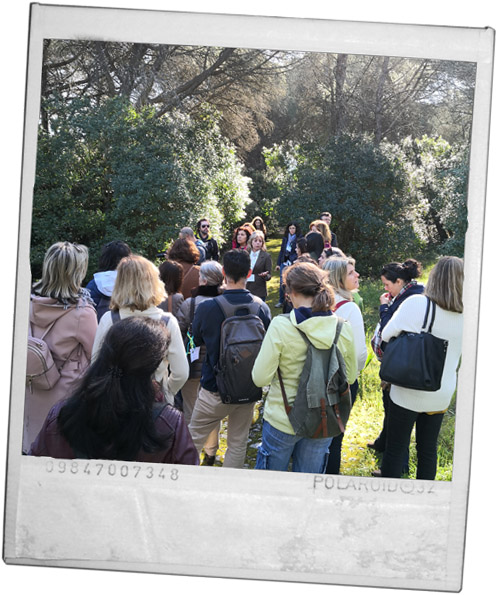 Parque_Monsanto