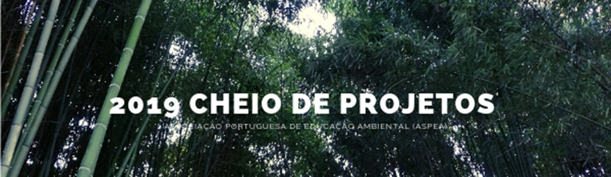 banner 2019 cheio de projetos