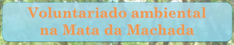 banner 26 nov