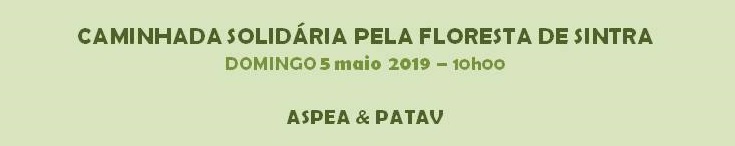 banner PATAV