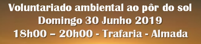 banner V 30junho19