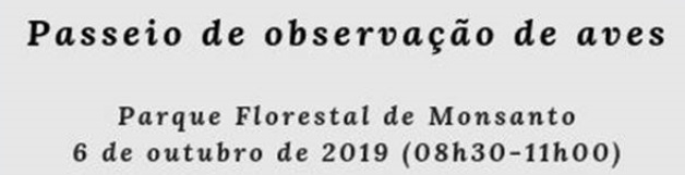 banner passaros