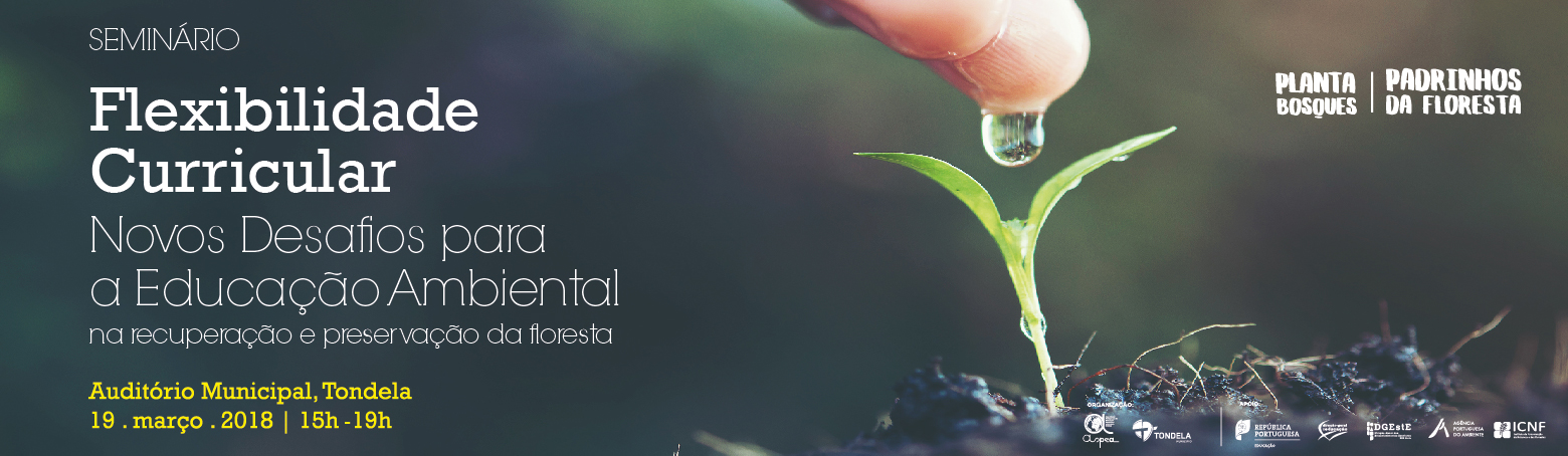 flexibilidade curricular banner