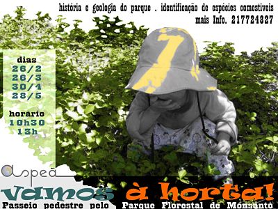 vamosahorta opt