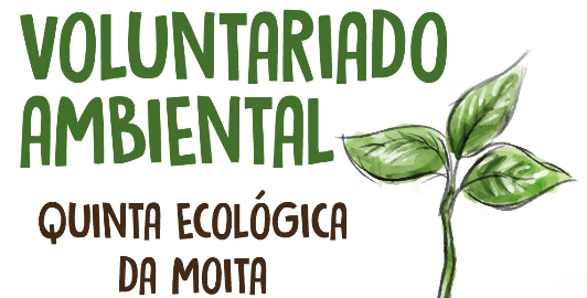 voluntariado