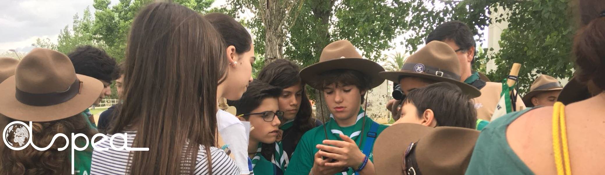 voluntariado ambiental
