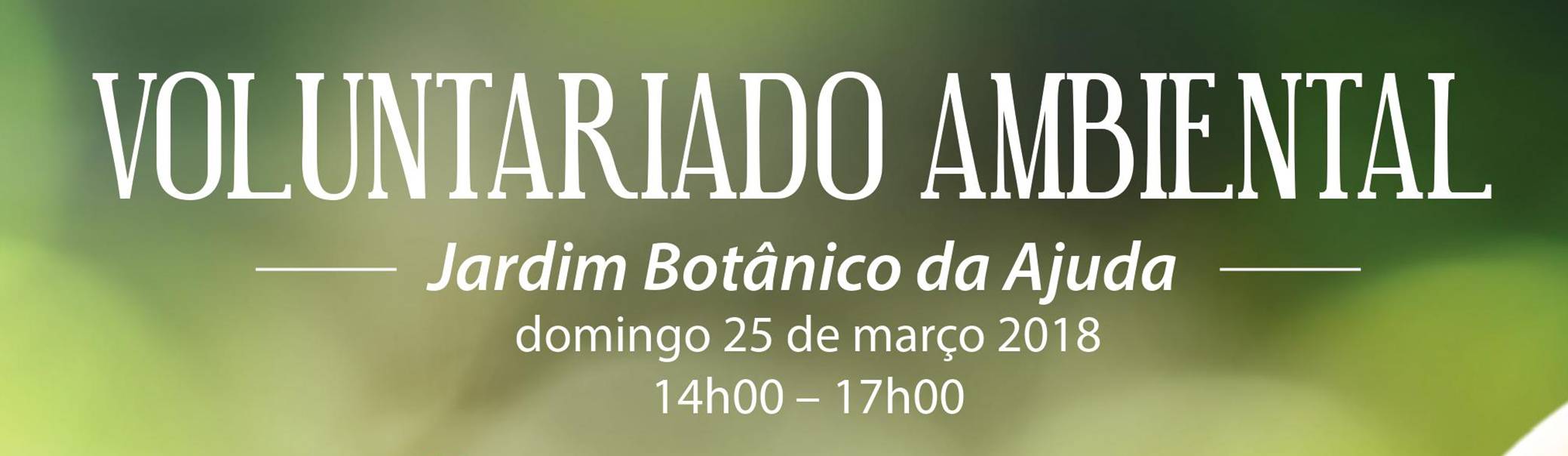 voluntariado ambiental botanico da ajuda